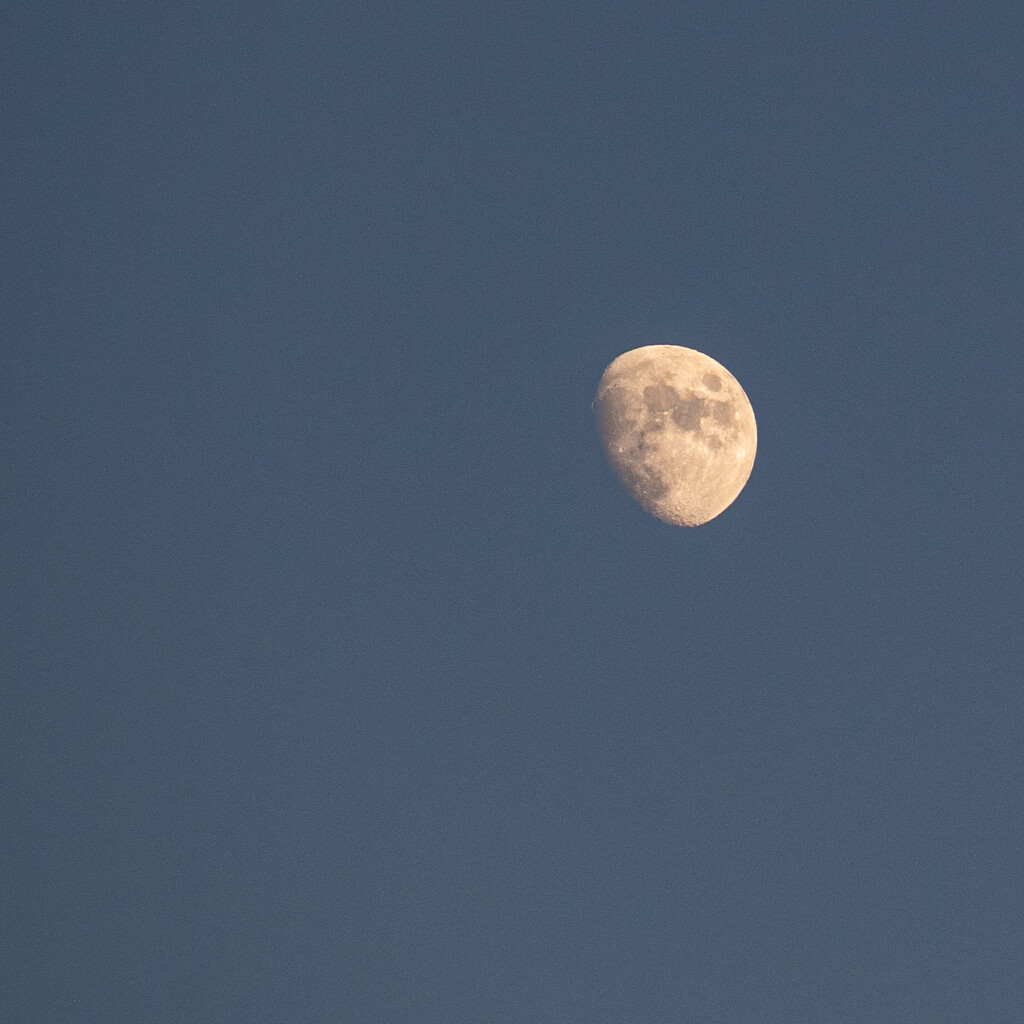 Moon at Dusk by mdaskin