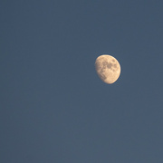 3rd Dec 2022 - Moon at Dusk