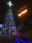 4th Dec 2022 - Tree lighting