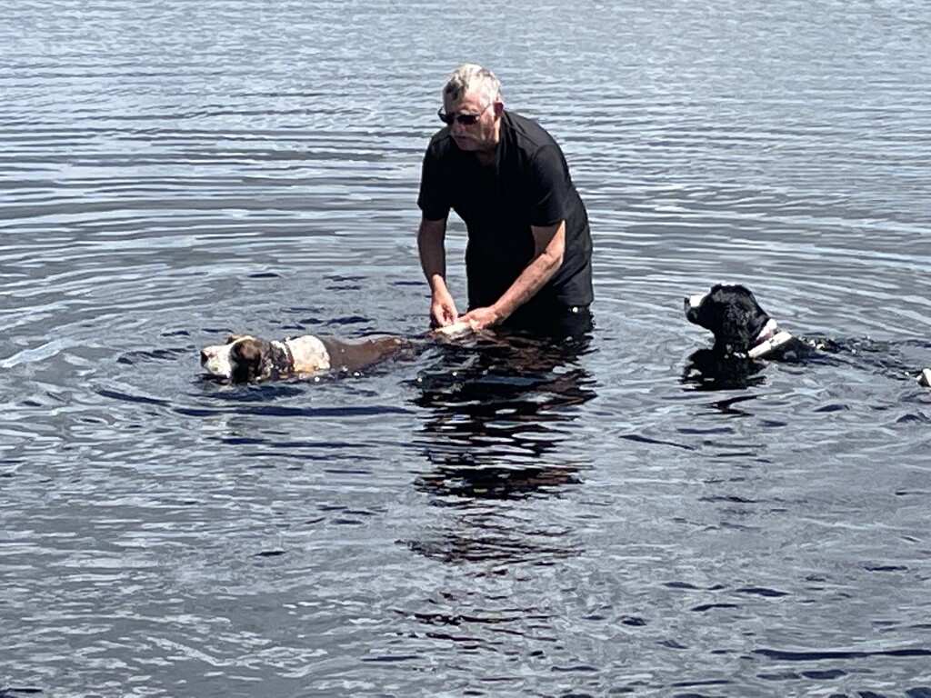 Having a quick dip in the coka kola lake but Flynn is being held by his tail while bidy bids are being removed he is swimming the whole time going nowhere  by Dawn
