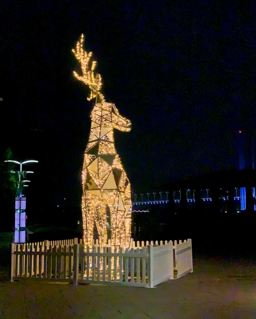 Festive Deer by briaan