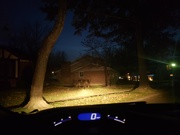 4th Dec 2022 - Family of deer while going to m&D's for tree decorating