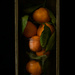 Tangerines in a box by theredcamera