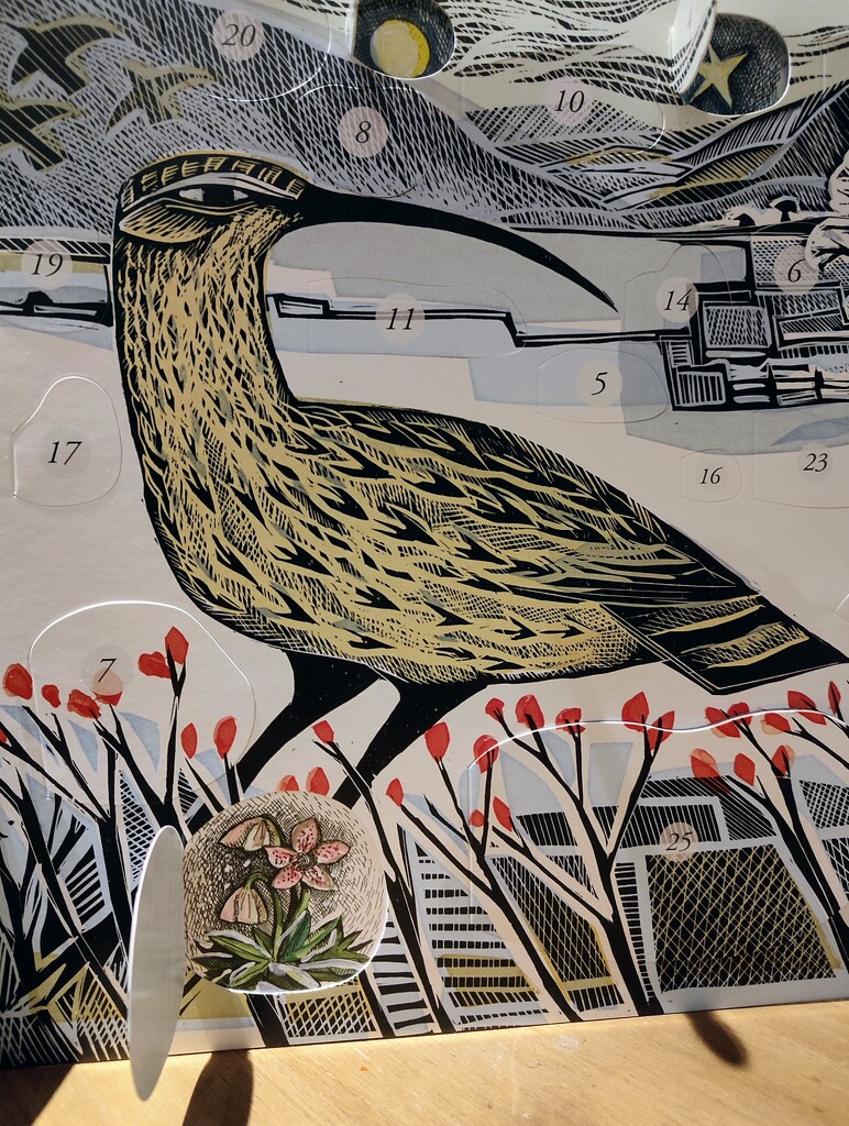 Angela Harding's curlew by boxplayer