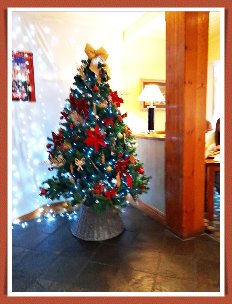 Ooh! Christmas Tree.  by beryl