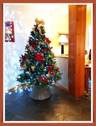 6th Dec 2022 - Ooh! Christmas Tree. 