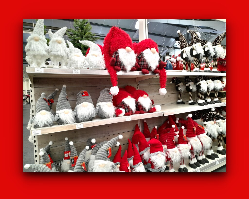 So many Gonks waiting for a Home for Christmas! by beryl