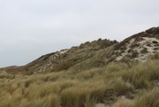 5th Dec 2022 - Duinen - dunes.