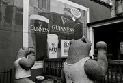 5th Dec 2022 - Guiness bears
