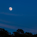 There's a Moon out Tonight  by happman