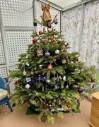 6th Dec 2022 - Christmas Tree