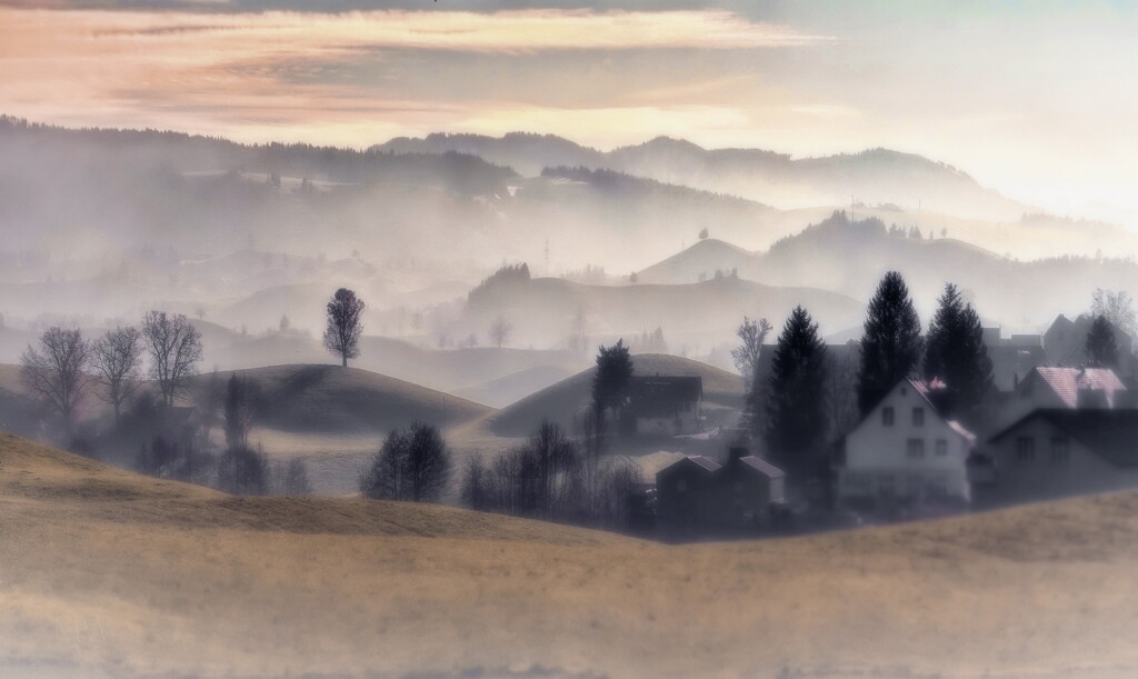 2022-12-06 when the fog lifts by mona65