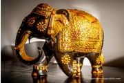 6th Dec 2022 - The Elephant in The Room