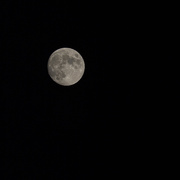 6th Dec 2022 - Full moon tomorrow…..