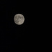 Full moon tomorrow….. by billdavidson