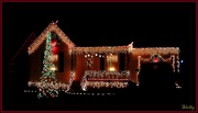 6th Dec 2022 - Christmas Lights