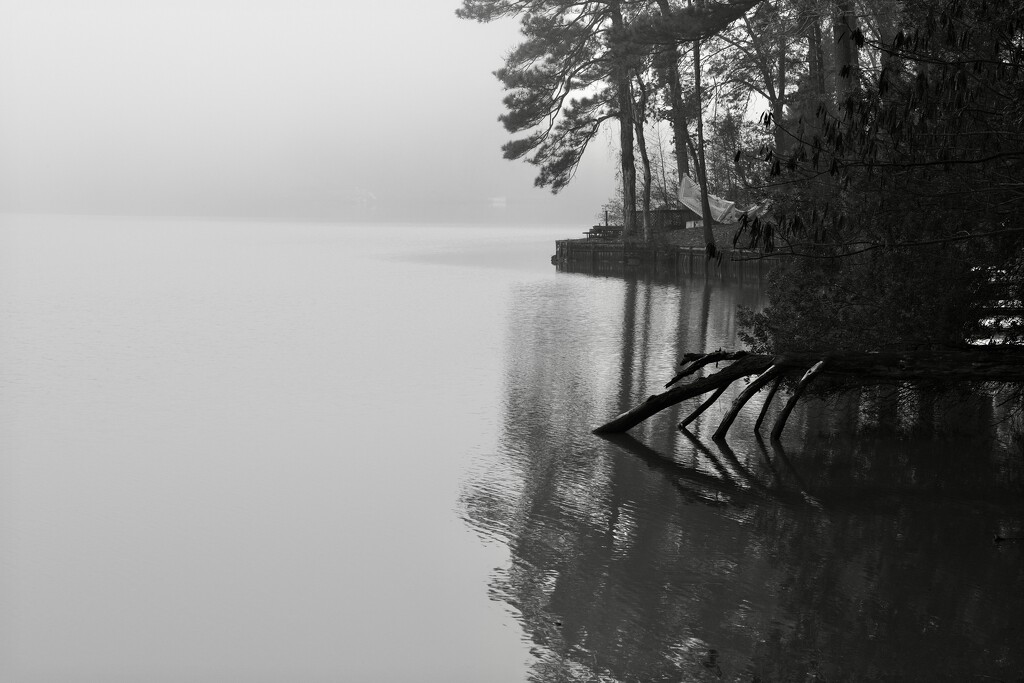 Lake view with fog by clayt