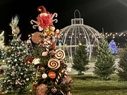 13th Nov 2022 - Christmas In the Park