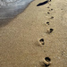 Footprints in the Sand by pdulis