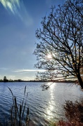6th Dec 2022 - Winter wetlands 