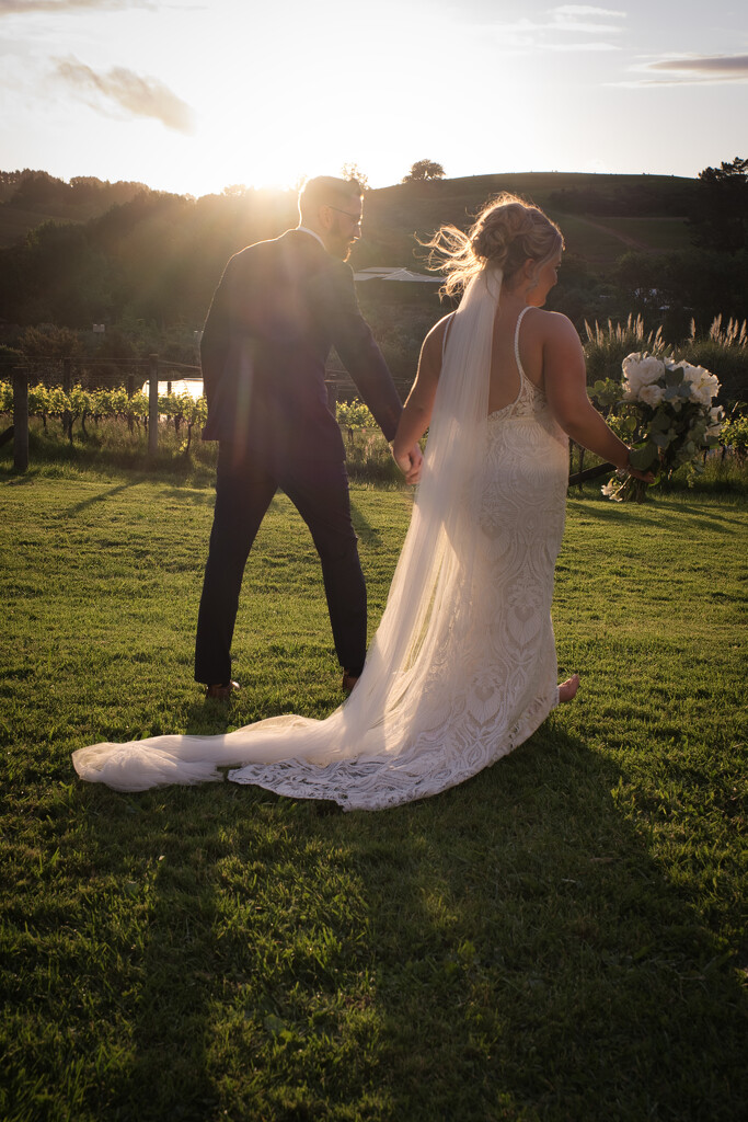 Bride and Groom by dkbarnett