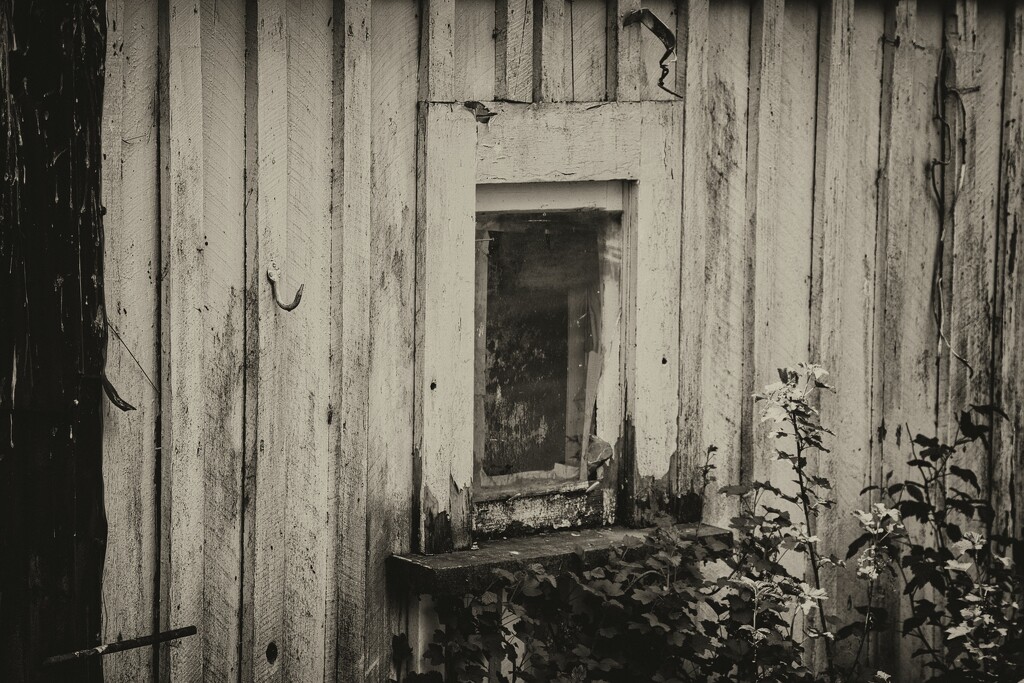 Old house by dkbarnett