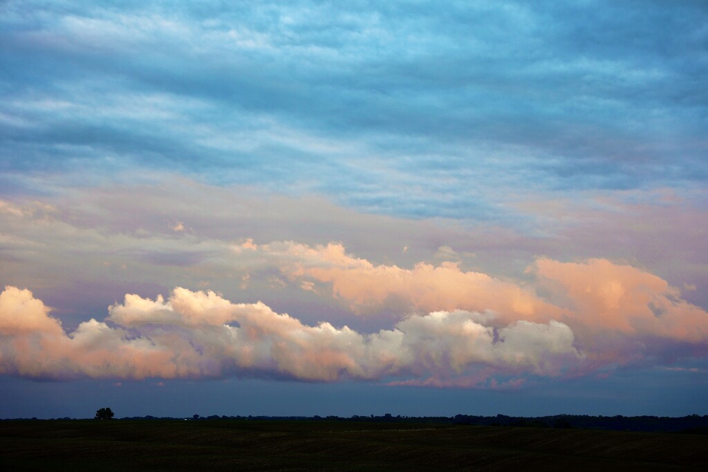 Clouds by lynnz