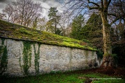 7th Dec 2022 - The Mossy Roof