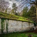 The Mossy Roof by nigelrogers