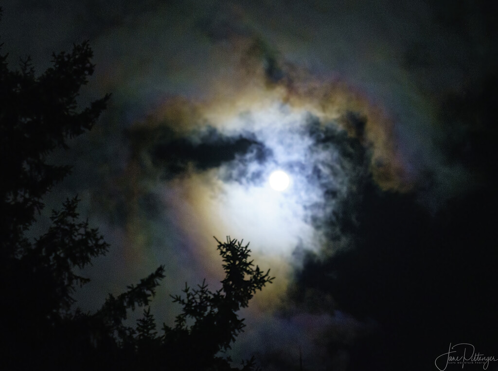 Moon Glow in the Fog by jgpittenger