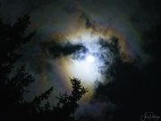 7th Dec 2022 - Moon Glow in the Fog