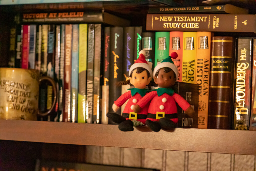 Elfs on the Shelves  by happman
