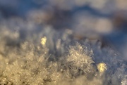 7th Dec 2022 - Snow crystals