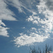 Cloud scape 12 2022 by larrysphotos