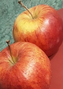 21st Nov 2022 - Two Gala apples