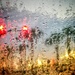 Traffic lights on a wet morning  by joemuli