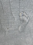 8th Dec 2022 - Like a Footprint in Cement …..