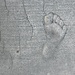 Like a Footprint in Cement ….. by wilkinscd