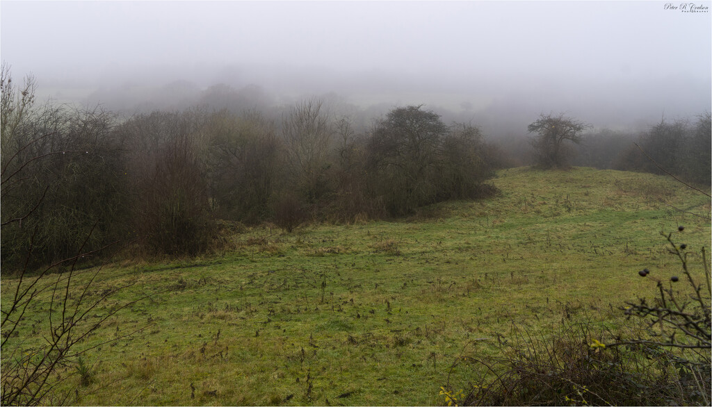 Another misty walk by pcoulson