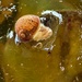 RIP poor snail! by bigmxx