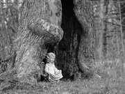 8th Dec 2022 - the girl in the tree