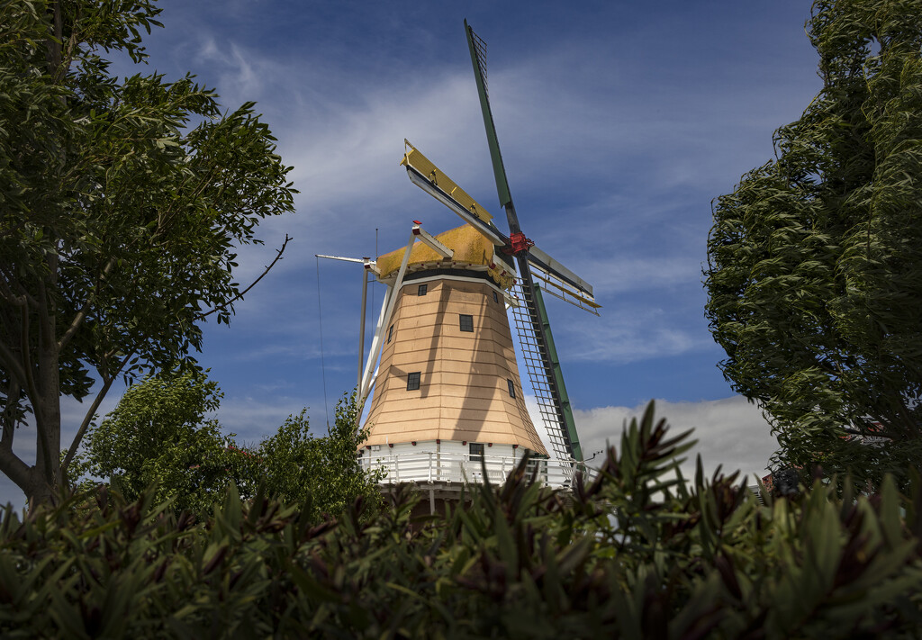 Dutch windmill in Foxton  by suez1e