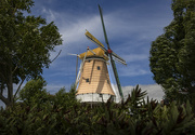 1st Dec 2022 - Dutch windmill in Foxton 