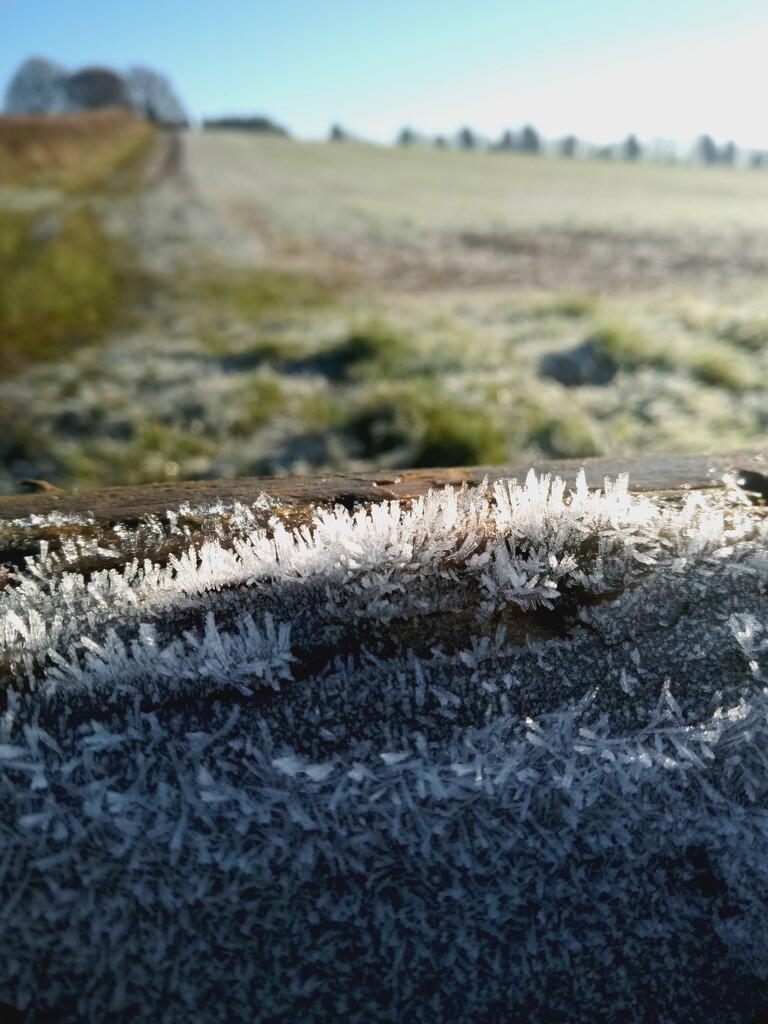 Frosty fence Friday by 365projectorgjoworboys
