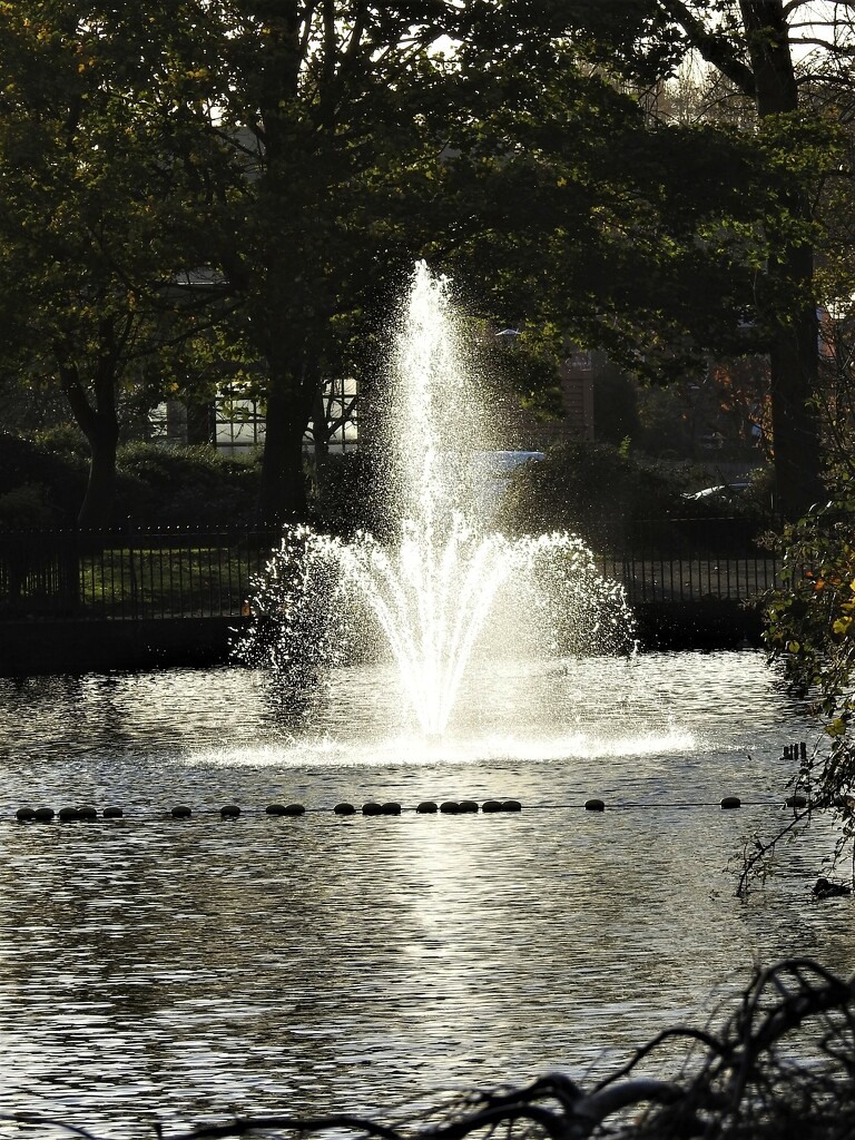 Fountain - Arnot Hill Park by oldjosh