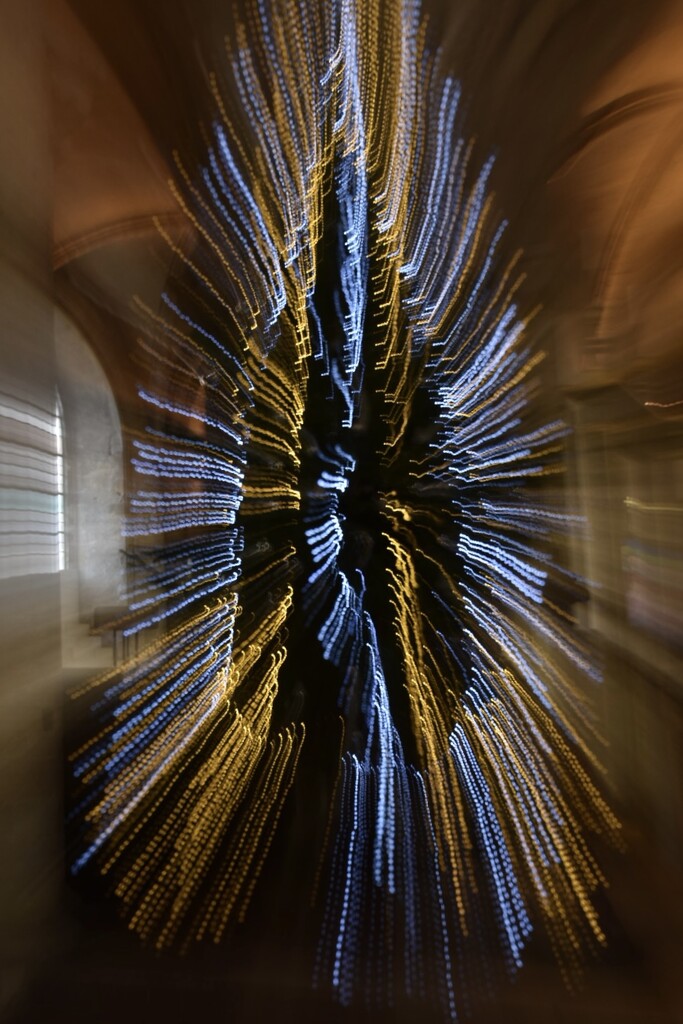 Zoom burst tree. by wakelys