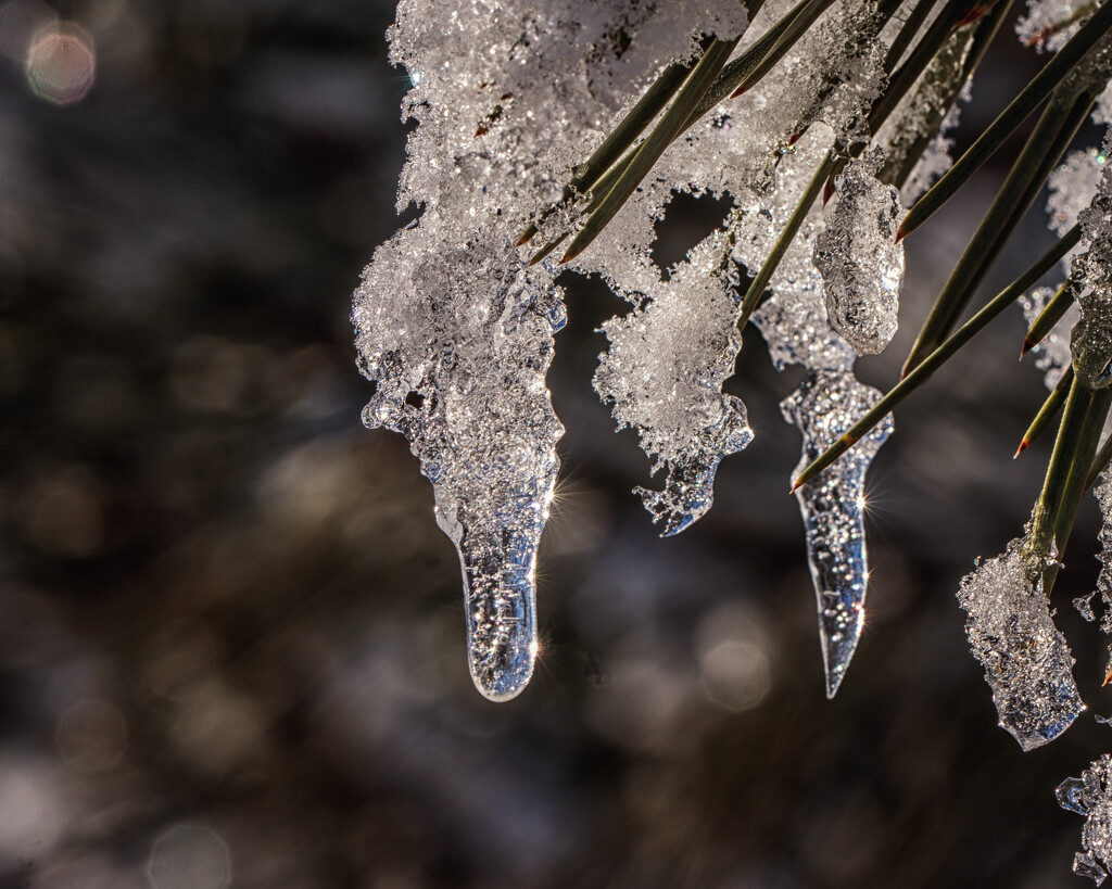 tiny icicles by aecasey
