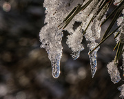 9th Dec 2022 - tiny icicles