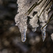 tiny icicles by aecasey