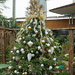Holiday tree in the conservatory. by larrysphotos